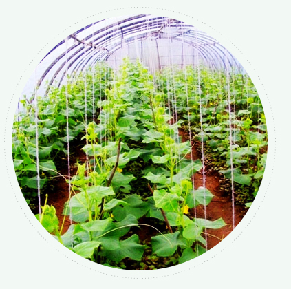 自有專(zhuān)業(yè)規(guī)劃設(shè)計(jì)團(tuán)隊(duì) 自有專(zhuān)業(yè)規(guī)劃設(shè)計(jì)團(tuán)隊(duì)